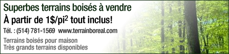 terrain boisé a vendre
