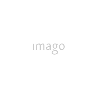 Imago